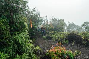 BIB: 
                            <button type="button" onclick="openModal(26272178)" class="btn btn-primary btn-sm float-right btn-popup" data-toggle="modal" data-target=".modal-high-quality">
                        <i class="fas fa-shopping-cart"></i> Add to Cart
                    </button>
                                            <button type="button" onclick="isThisMe(26272178, true)" class="btn btn-success btn-sm float-right btn-popup btn-isme hidden" data-toggle="tooltip" data-placement="bottom" title="นี่คือรูปของคุณใช่ไหม คลิกที่นี่เพื่อเอาเข้าอัลบั้ม">
                        <i class="fas fa-plus"></i> Add to album
                    </button>
                    <button type="button" onclick="isThisMe(26272178, false)" class="btn btn-warning btn-sm float-right btn-popup btn-isnotme hidden">
                        <i class="fas fa-ban"></i> Remove from album
                    </button>